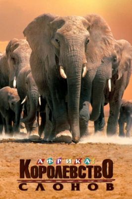 Африка – королевство слонов (1998)