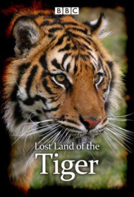 BBC: В поисках последнего тигра (2010)